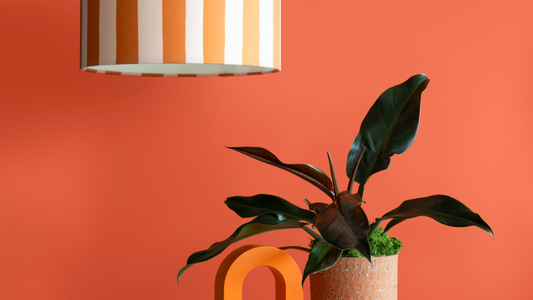 photo of a philodendron surrounded by geometric shapes in orange and a hanging lamp with stripy lampshade in orange and white and a muted orange background behind everything