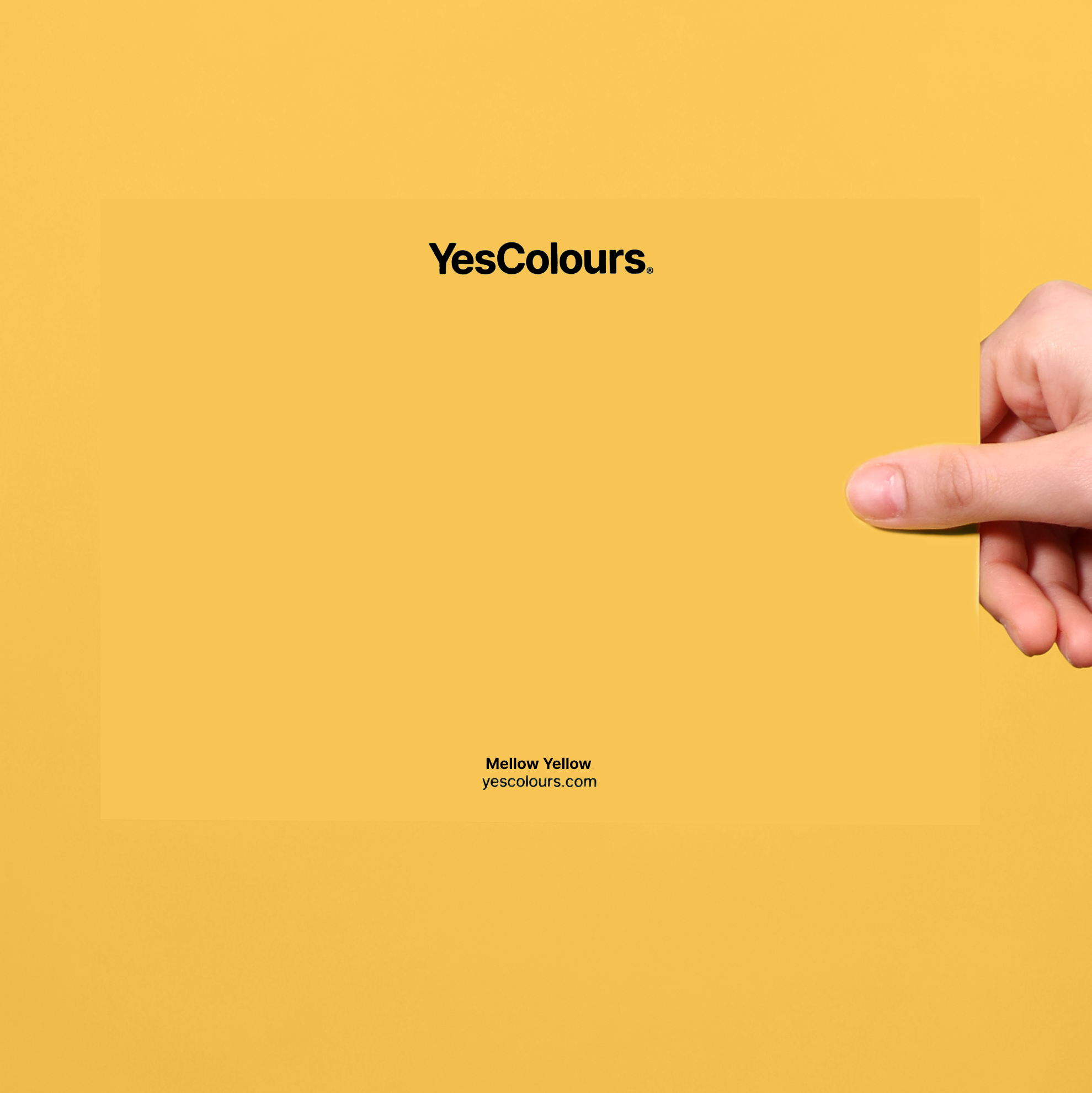 YesColours Mellow Yellow paint swatch