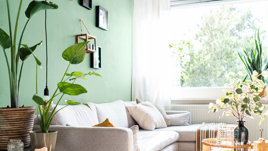 Year of the Rabbit 2023: 5 Feng Shui home decor tips for a Zen home