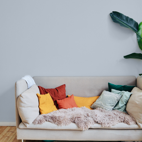Calming Grey paint swatch