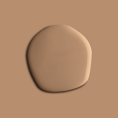 Dirty Peach paint swatch