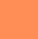 Electric Orange paint sample (60ml)