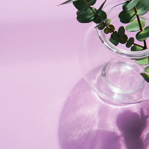 Fresh Pink paint swatch