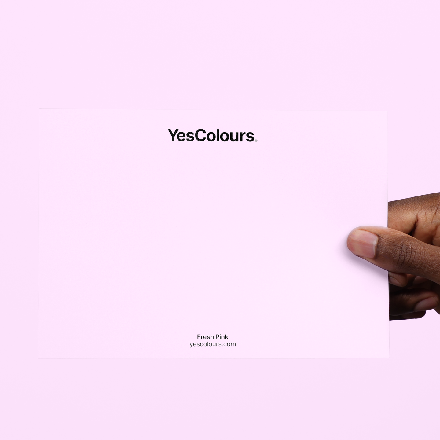 YesColours premium Fresh Pink paint swatch
