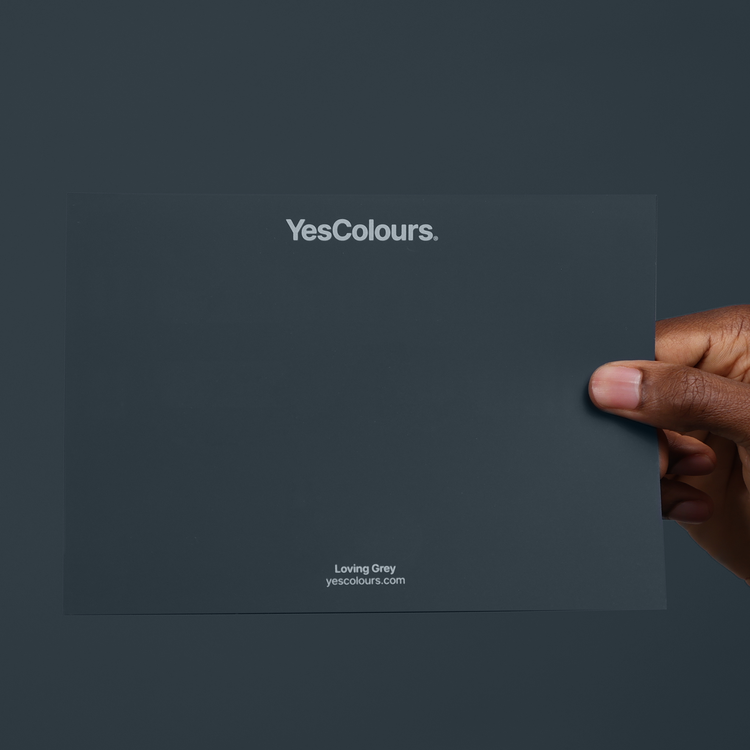 YesColours Loving Grey paint swatch , black Black / Grey Blacks Grey grey-black Greys Loving Grey Swatch , Lick Paint, Coat Paint, Dulux Paint Loving-Grey-paint-swatch-YesColours-213