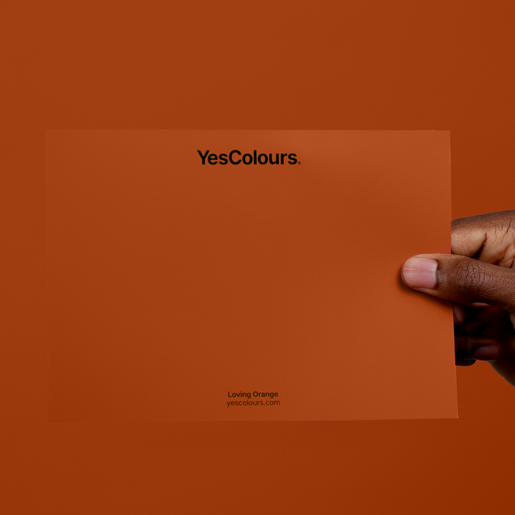 YesColours Loving Orange paint swatch , Brown loving orange Orange Oranges Peach / Orange Swatch , Lick Paint, Coat Paint, Dulux Paint Loving-Orange-paint-swatch-YesColours-6583