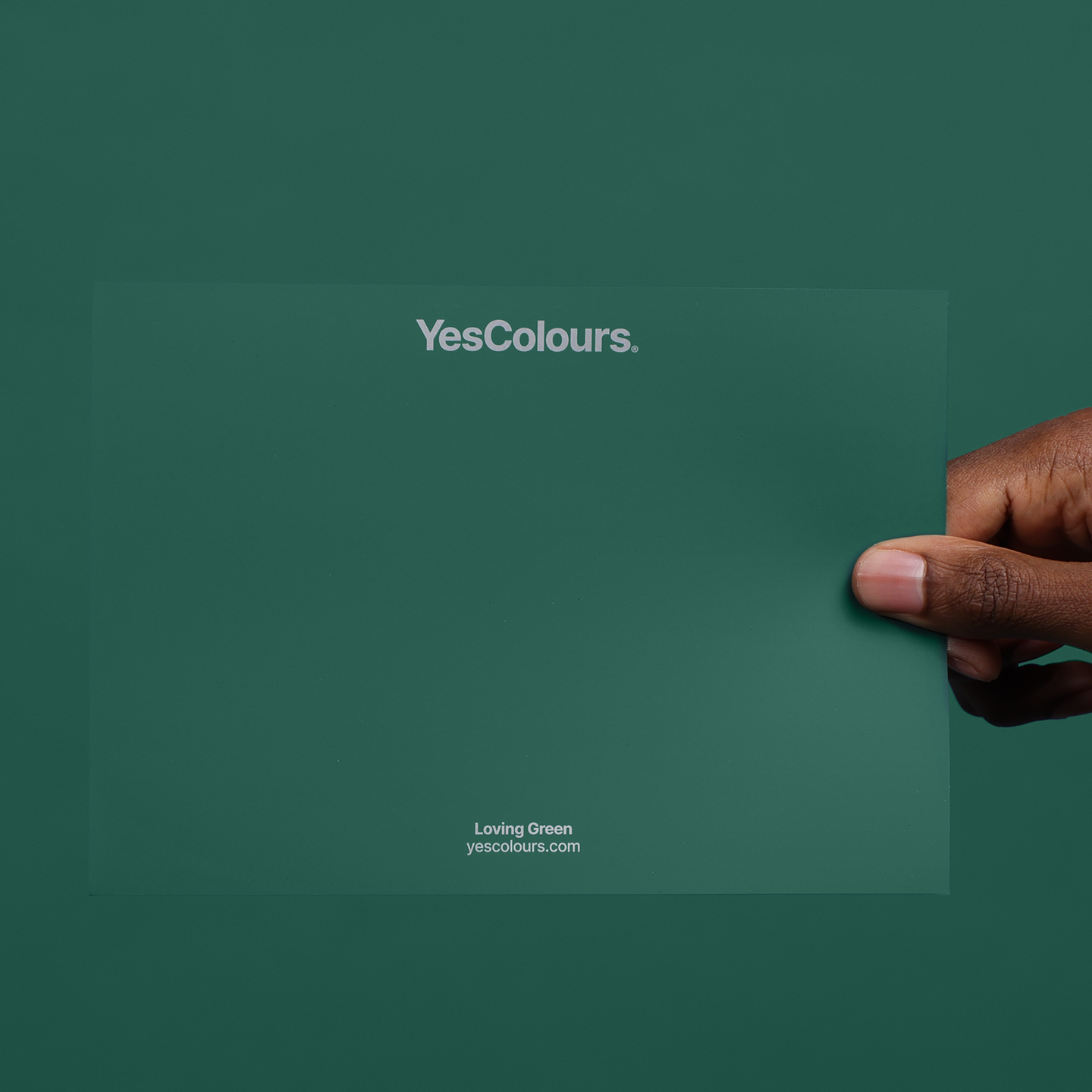 YesColours premium Loving Green paint swatch