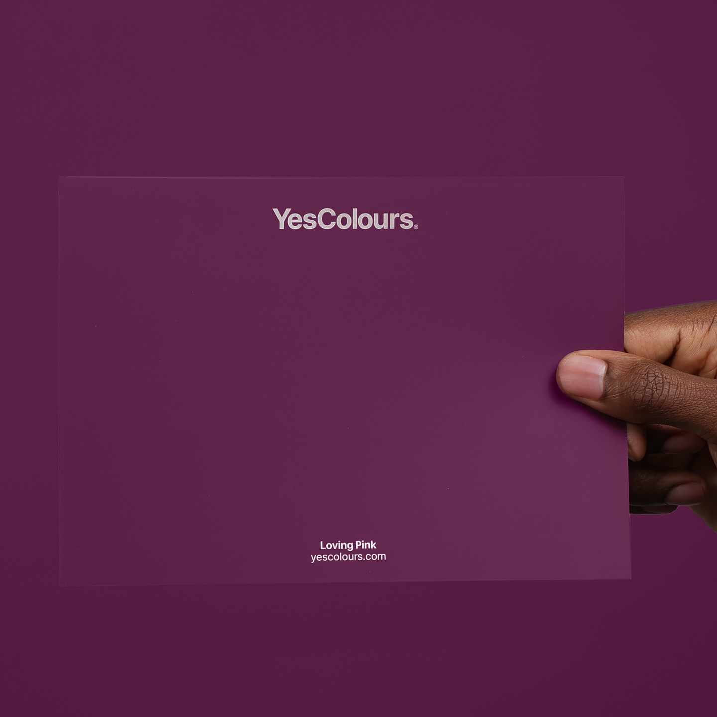 YesColours premium Loving Pink paint swatch