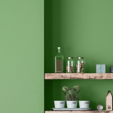 Mellow Green paint swatch