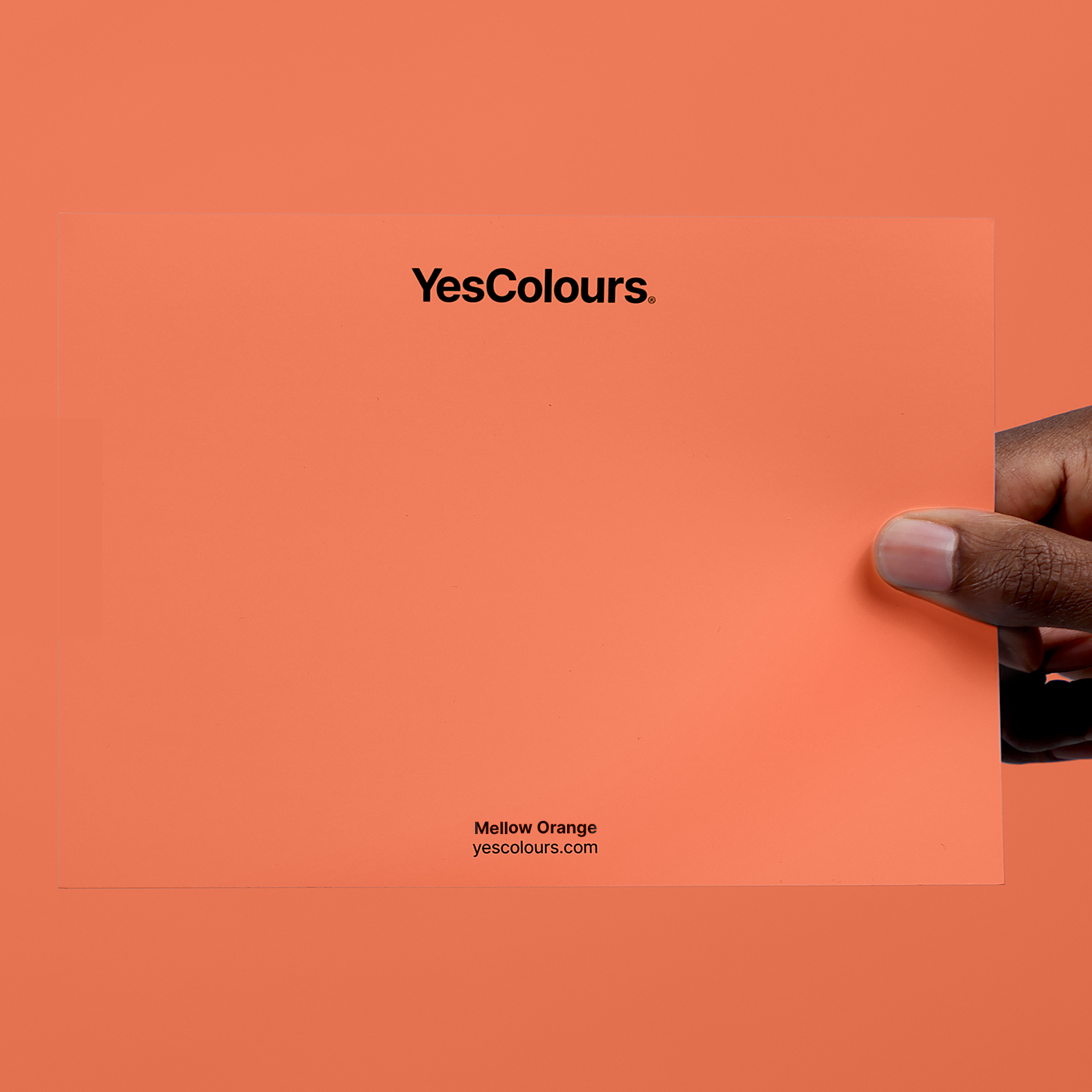 YesColours