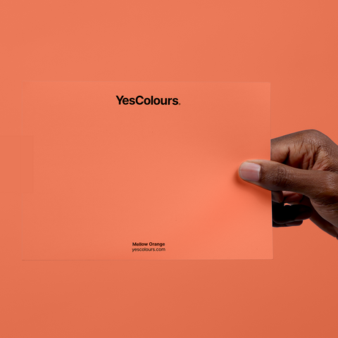 Mellow Orange paint swatch