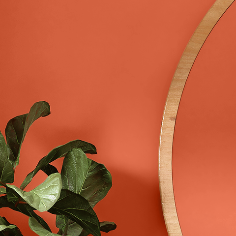 Mellow Orange paint swatch
