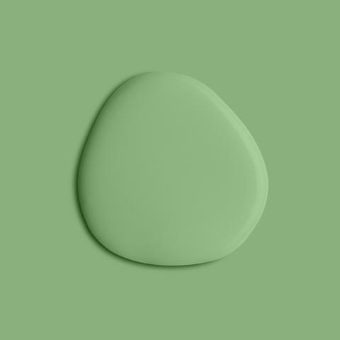 Mellow Green paint swatch