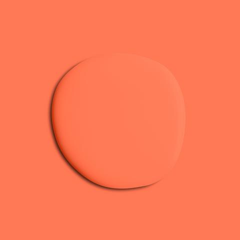Mellow Orange paint swatch