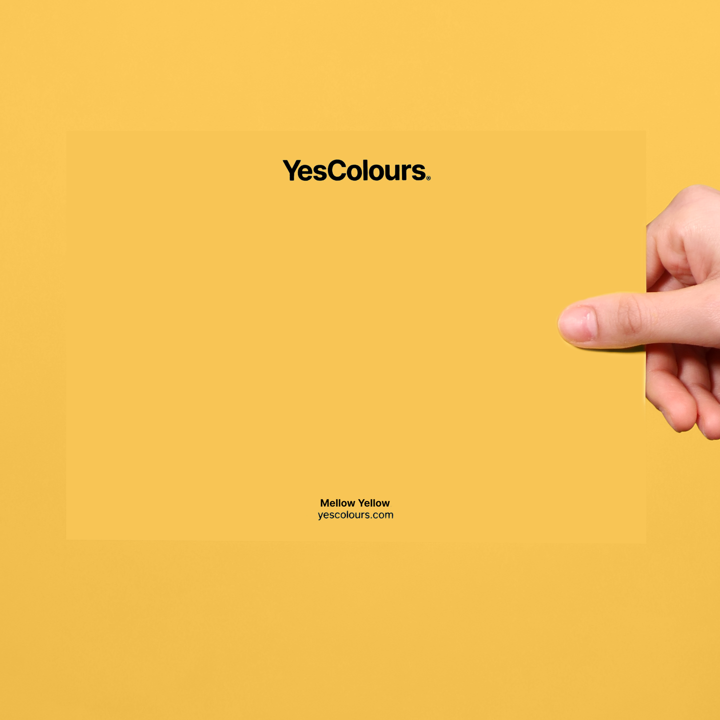 YesColours premium Mellow Yellow paint swatch