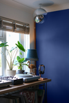 YesColours Passionate Blue eggshell paint , Blue Blues Eggshell Passionate Blue , Lick Paint, Coat Paint, Dulux Paint Passionate-Blue-eggshell-paint-YesColours-2876