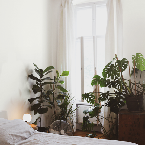 Passionate Warm White paint swatch