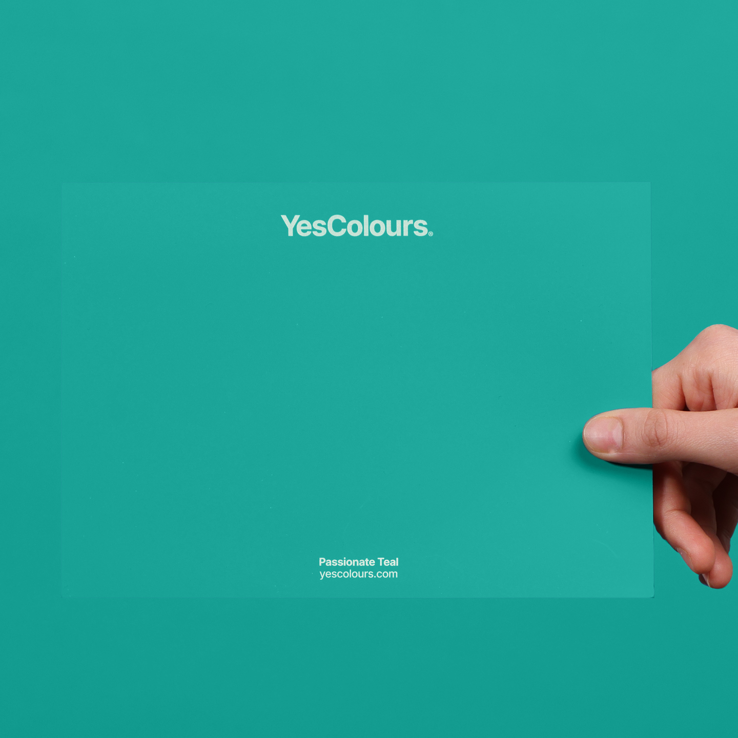 YesColours premium Passionate Teal paint swatch