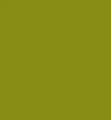 Passionate Olive Green paint sample (60ml)