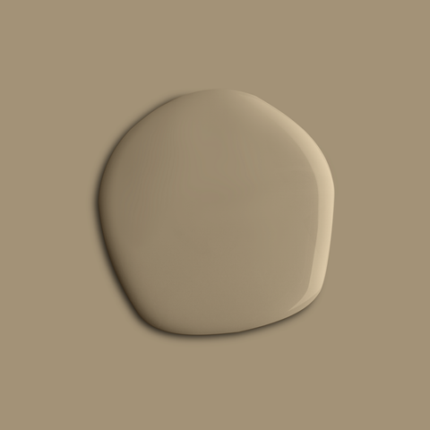 Secluded Neutral paint swatch