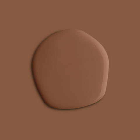 Secluded Orange paint swatch