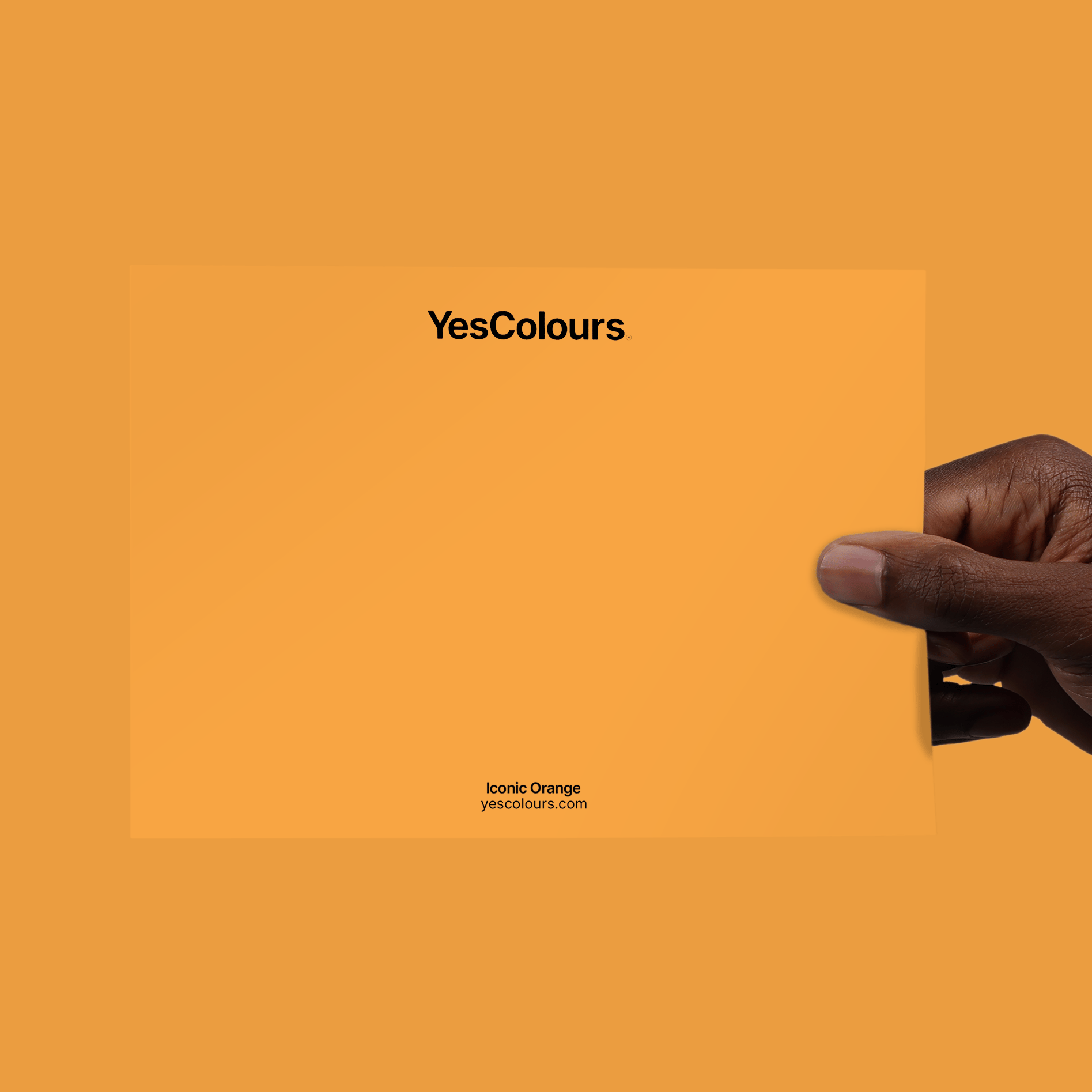 YesColours