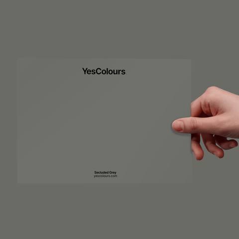 Secluded Grey paint swatch