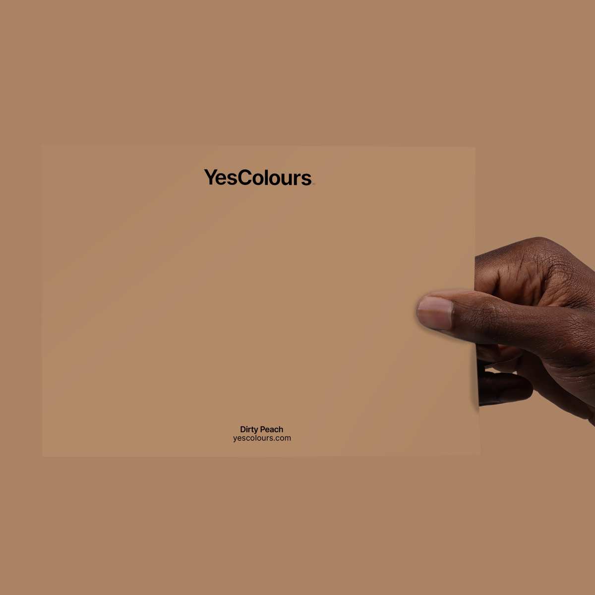 YesColours