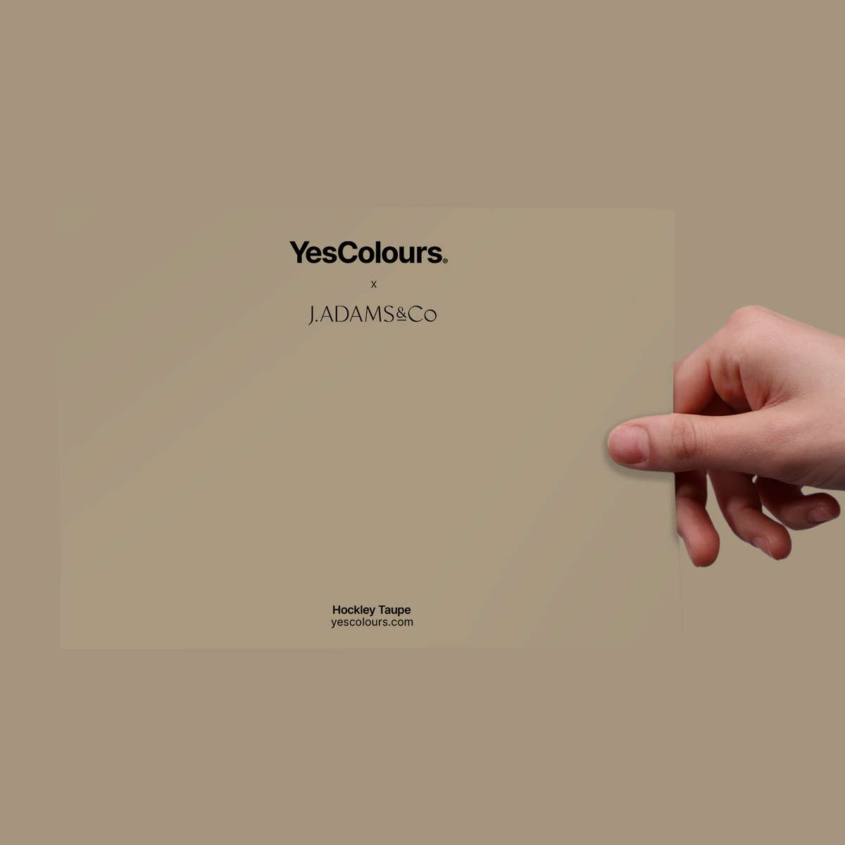 YesColours