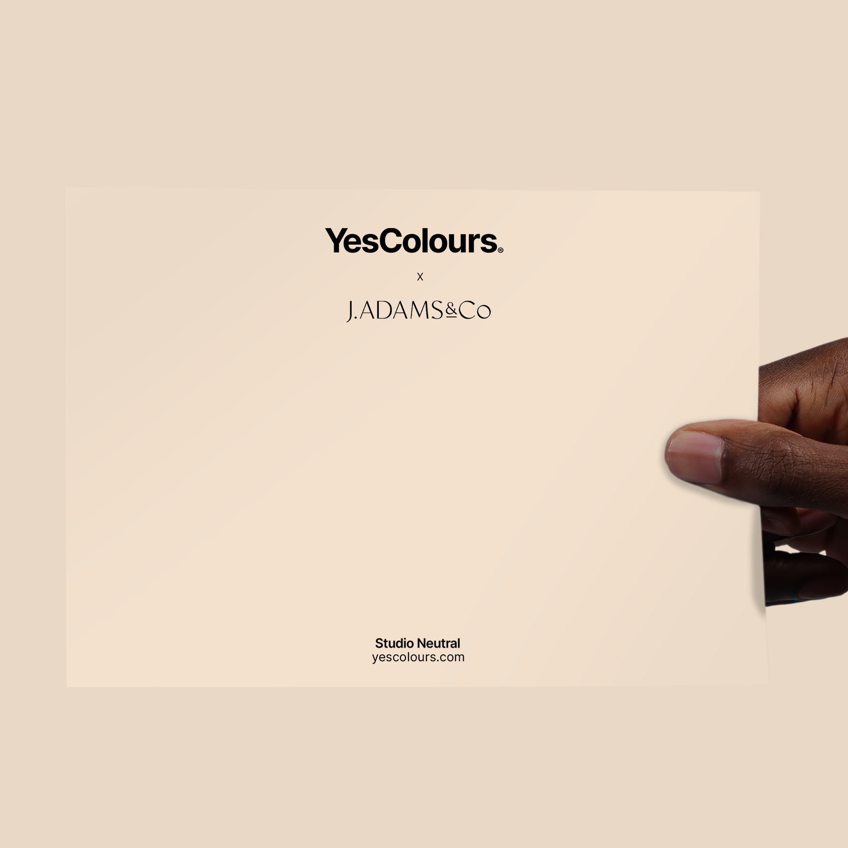 YesColours