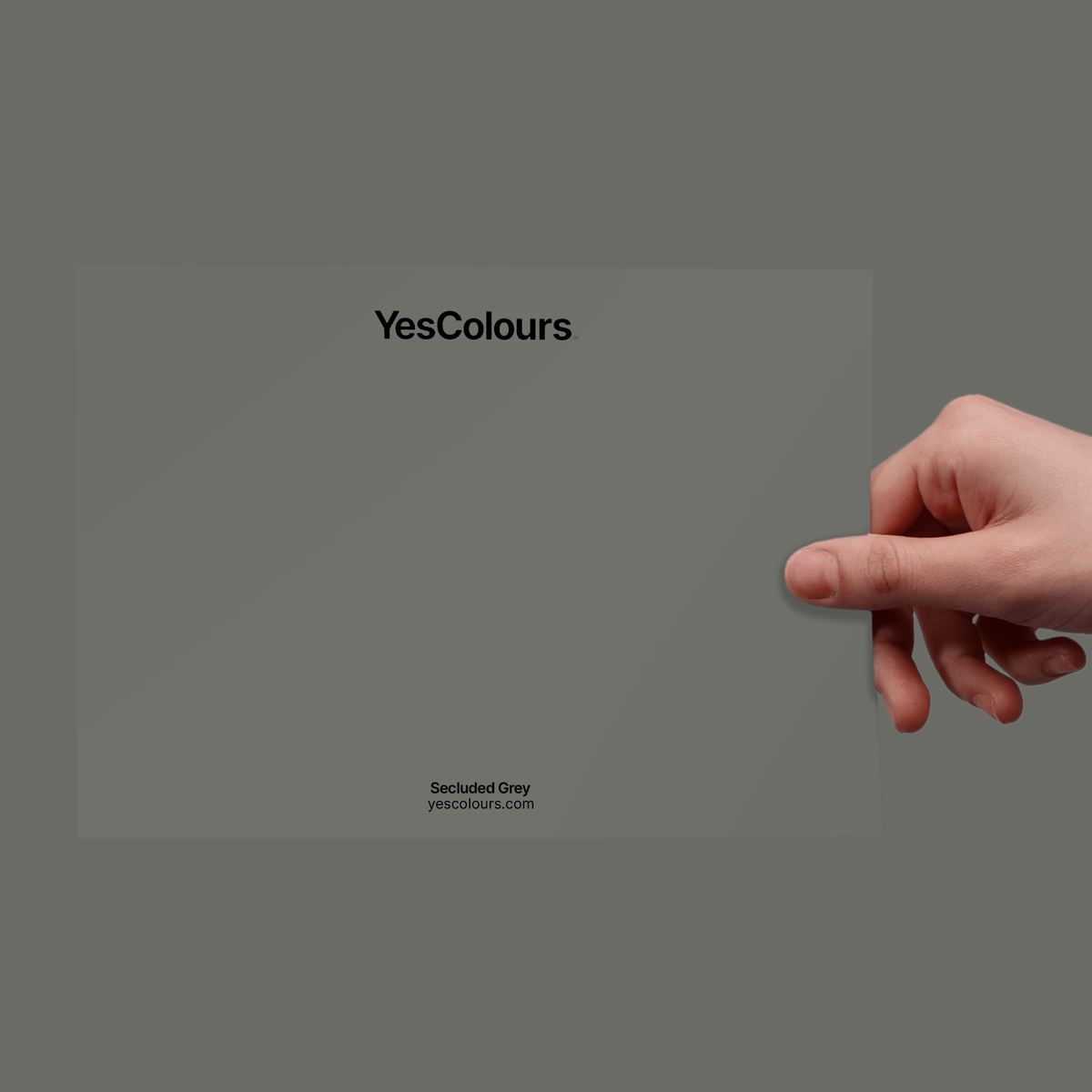 YesColours