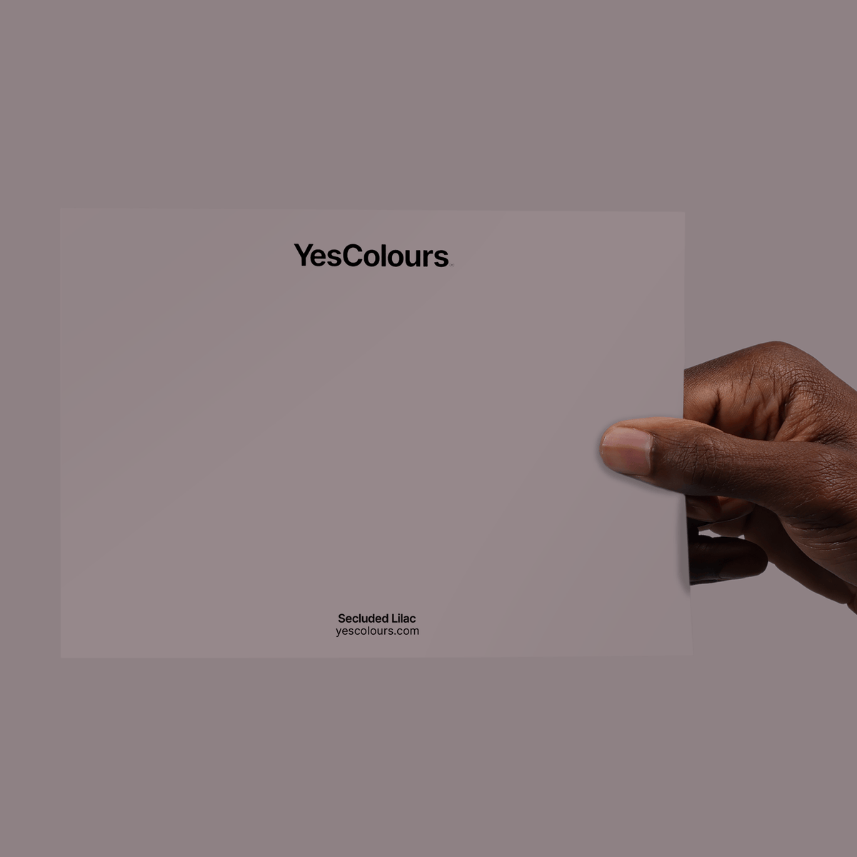 YesColours
