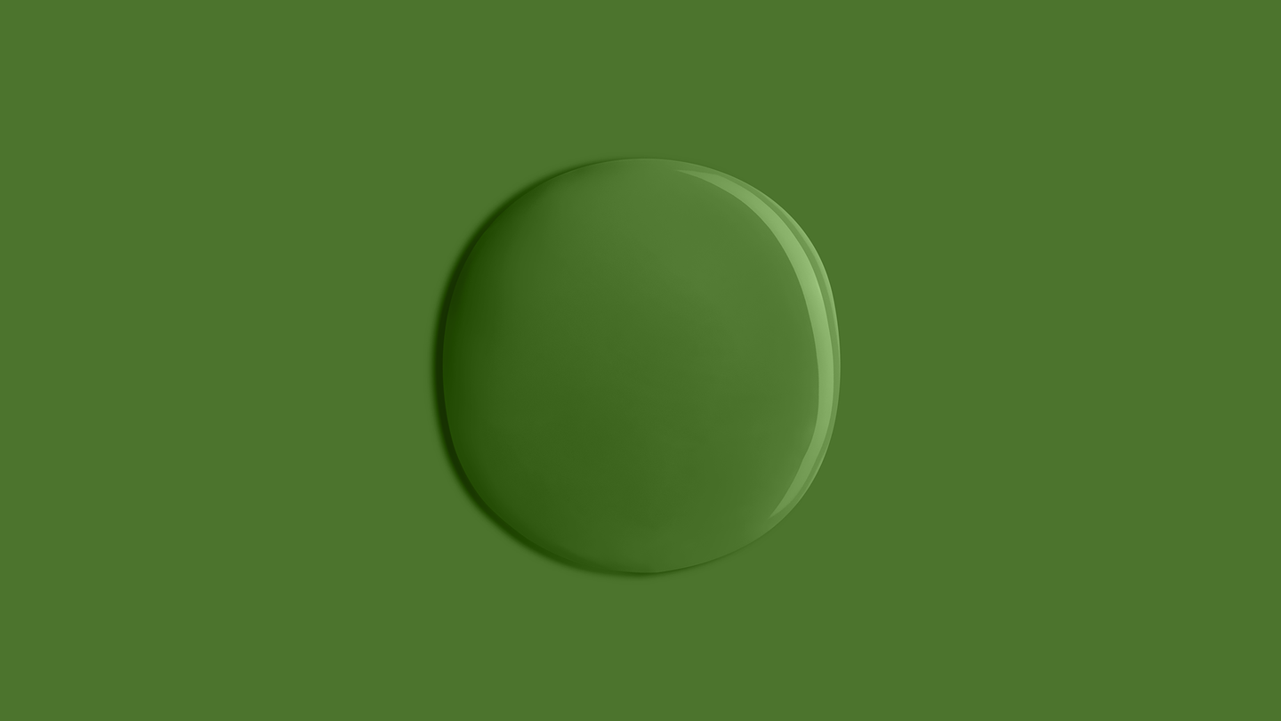 YesColours premium Mindful Green matt emulsion paint
