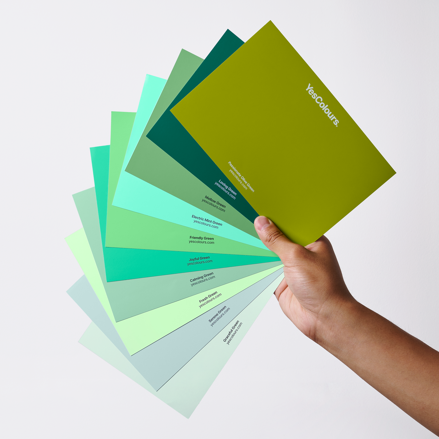 YesColours premium Green paint swatch bundle
