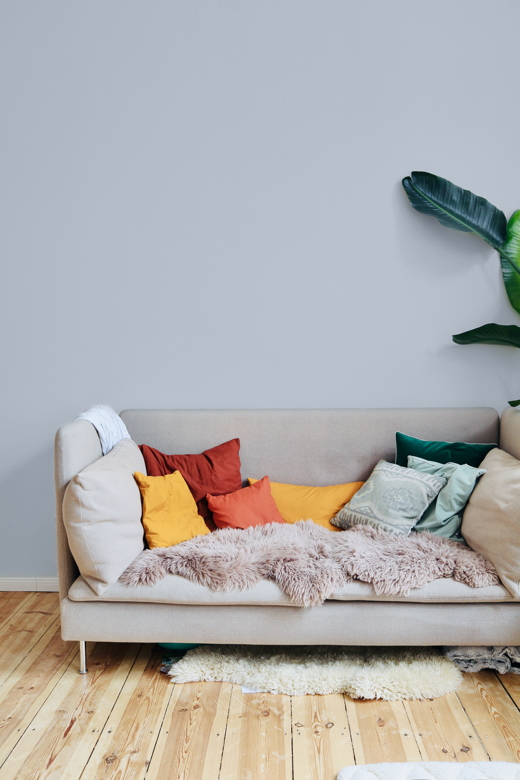 Grey Matt Emulsion Interior Wall Paint | YesColours