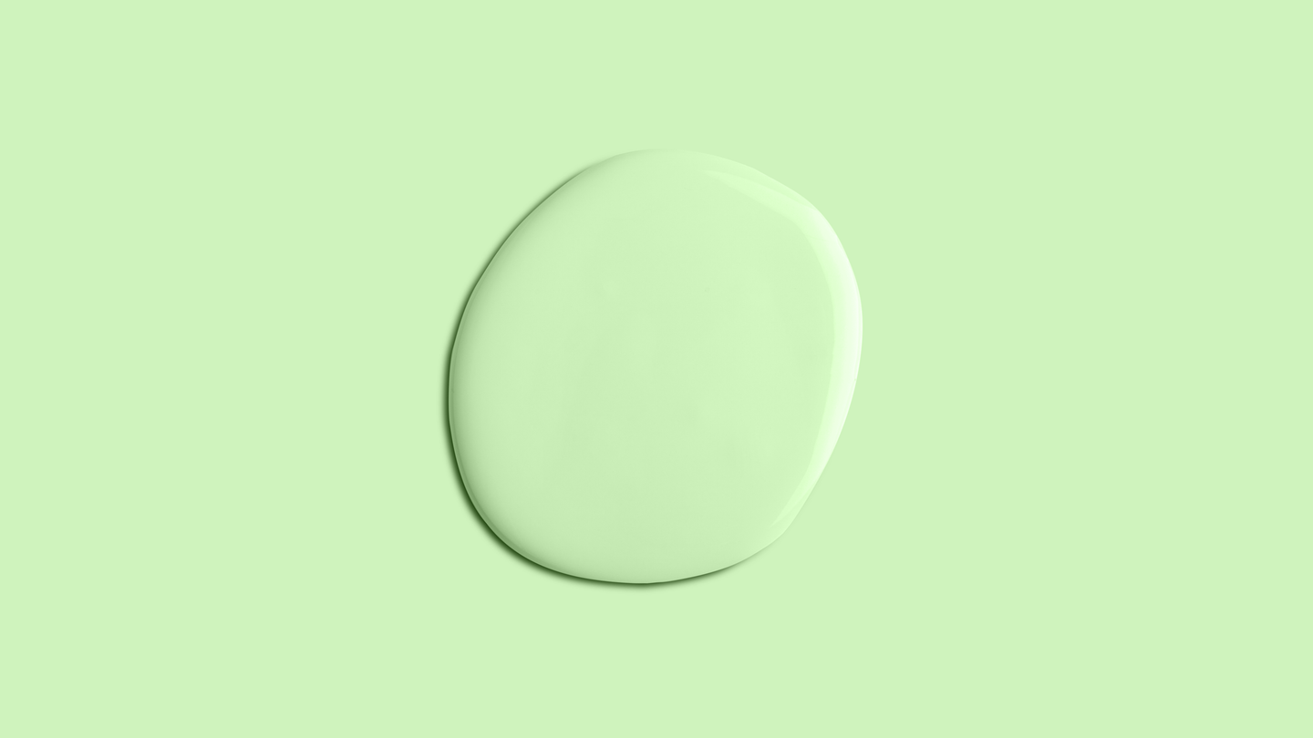 YesColours premium Fresh Green matt emulsion paint