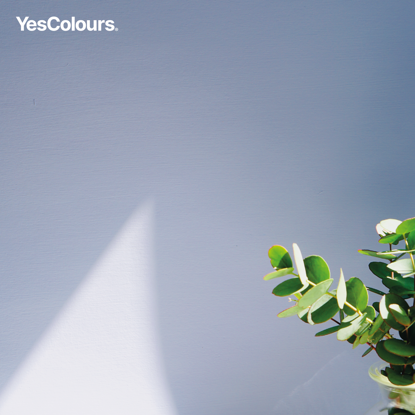 YesColours Friendly Lilac matt emulsion paint , Friendly Friendly Lilac Lilac Lilac / Purple Matt Emulsion Paint , Lick Paint, Coat Paint, Dulux Paint Friendly-Lilac-matt-emulsion-paint-YesColours-8724