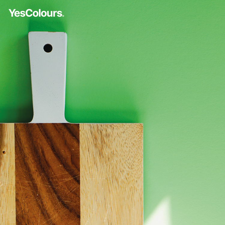 YesColours premium Friendly Green paint sample (60ml) Dulux paint, Coat Paint, Lick Paint