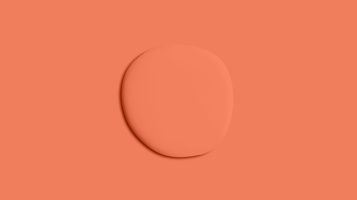 YesColours premium Mellow Orange matt emulsion paint Dulux paint, Coat Paint, Lick Paint