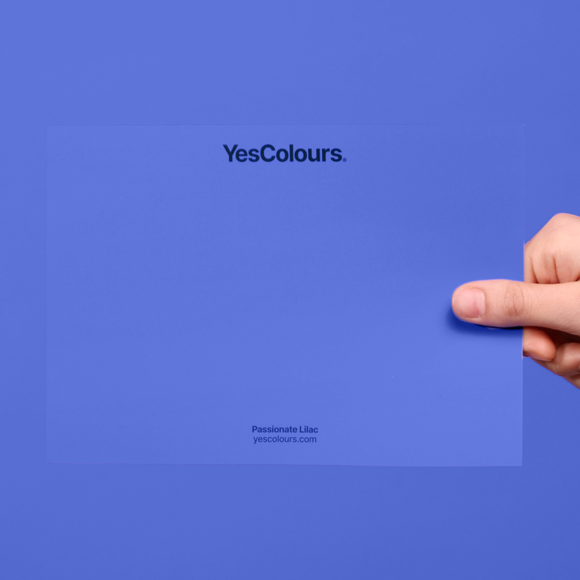 YesColours