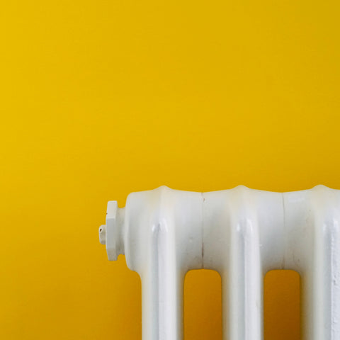 Passionate Yellow Eggshell